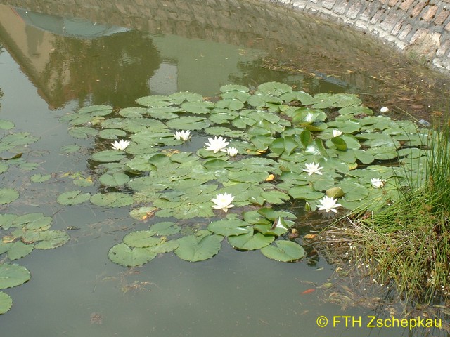 content/images/45e1930a736e856bdf637933123296c9/03710 (Kopie).jpg - 