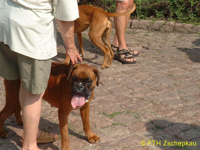 content/images/f32a5b60b7c673e4776573ca64dcc69b/03642 (Kopie).jpg - 