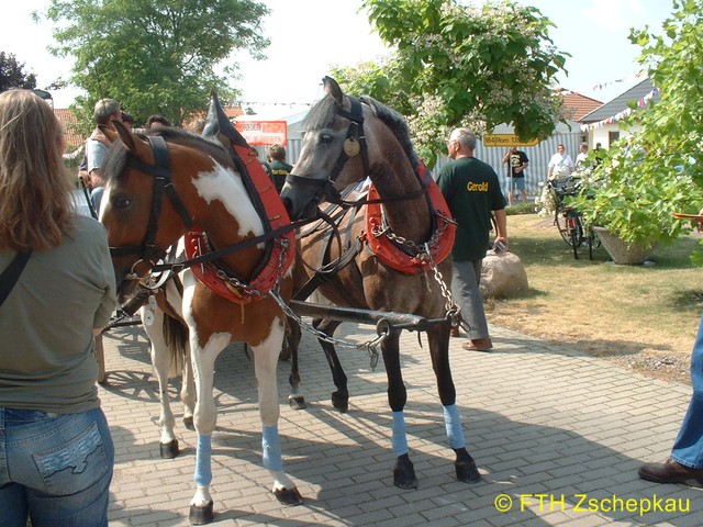 content/images/f32a5b60b7c673e4776573ca64dcc69b/03656 (Kopie).jpg - 